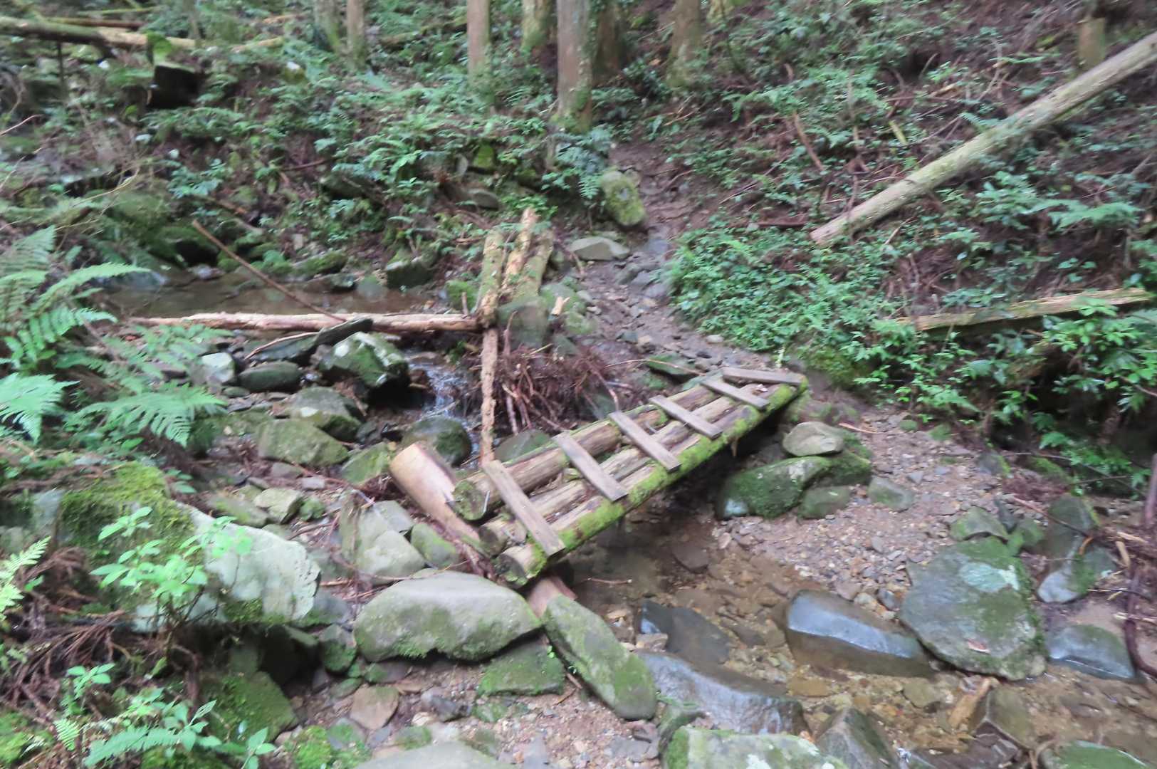 丸太橋を８本渡ります

