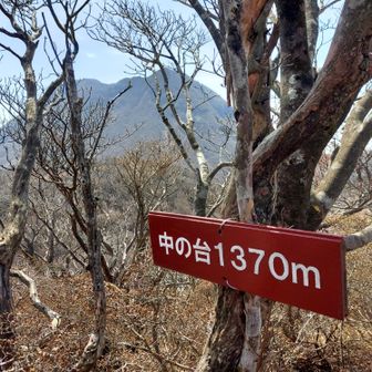 下る前にもう一枚