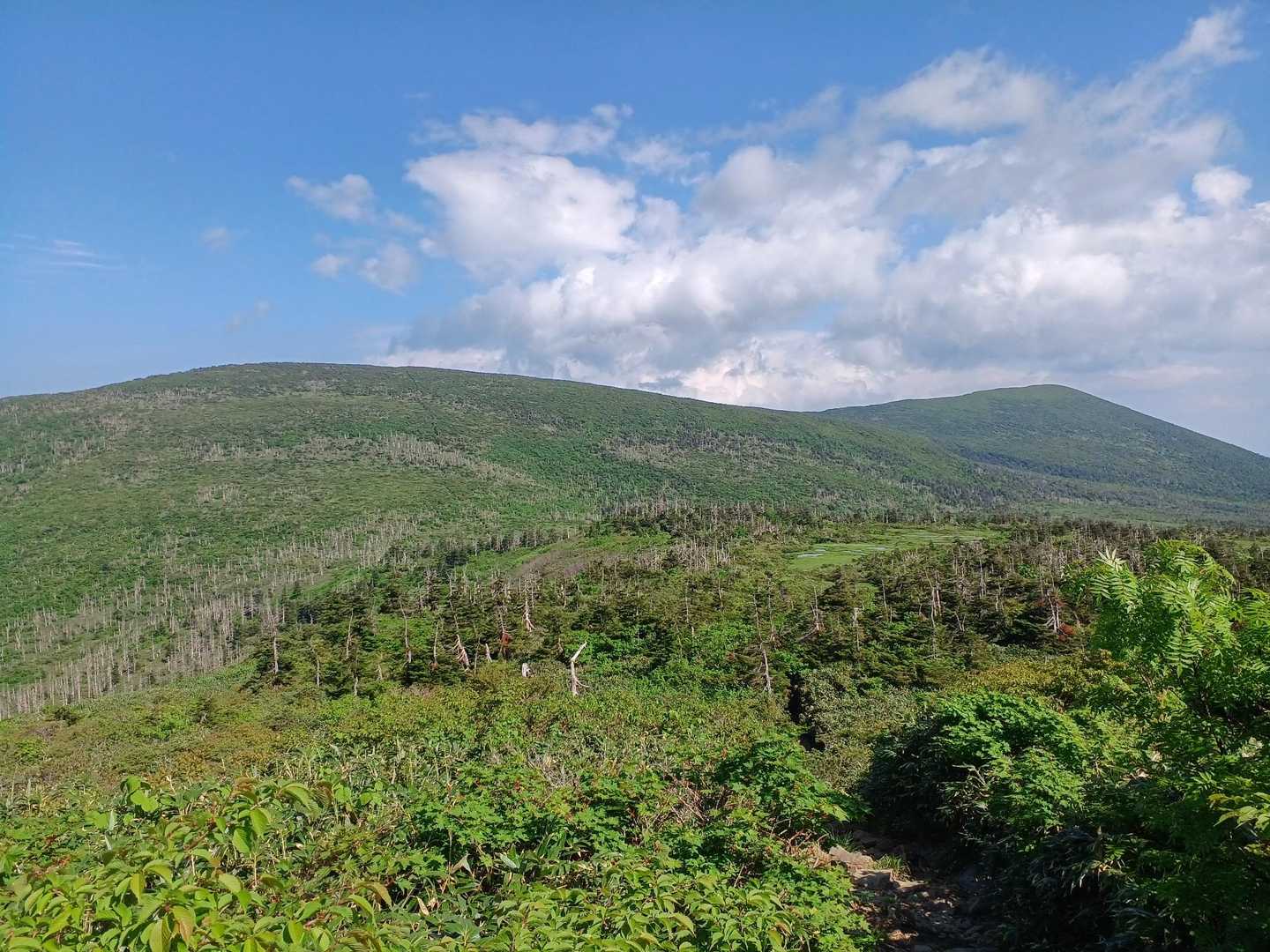 刈田峠-前山-杉ヶ峰-芝草平 往復コースの地図・登山ルート・登山口情報