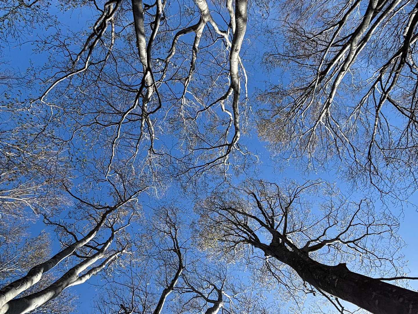 青い空