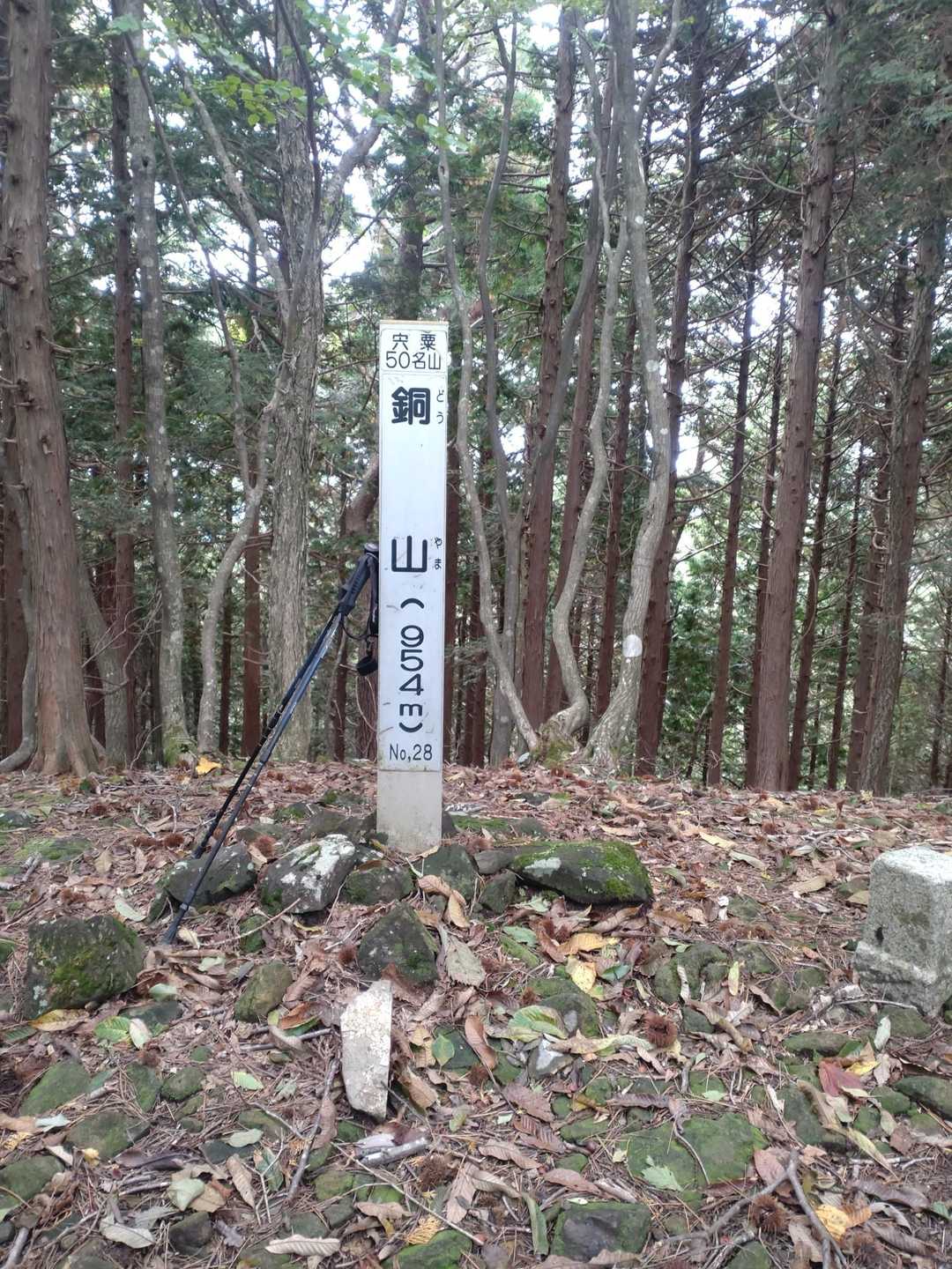 山頂到着✌️ソロなのでおもしろ写真撮れず。
イベント用も控えめ😙