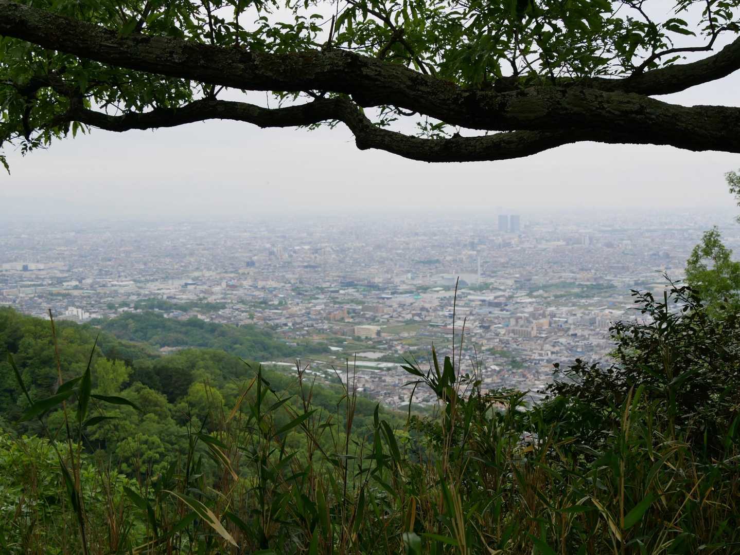 ちょっとだけヨ🤏
の景色😅