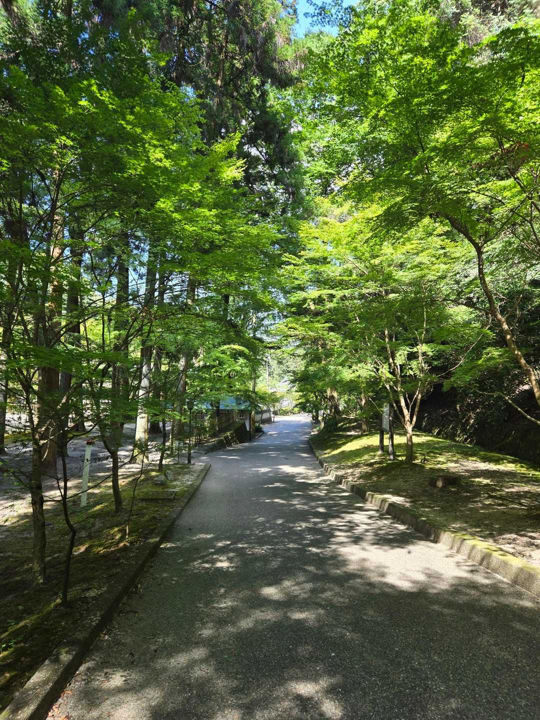 岩国城ロープウェー 山麓駅-岩国城ロープーウェー 山頂駅- 周回コースの写真
