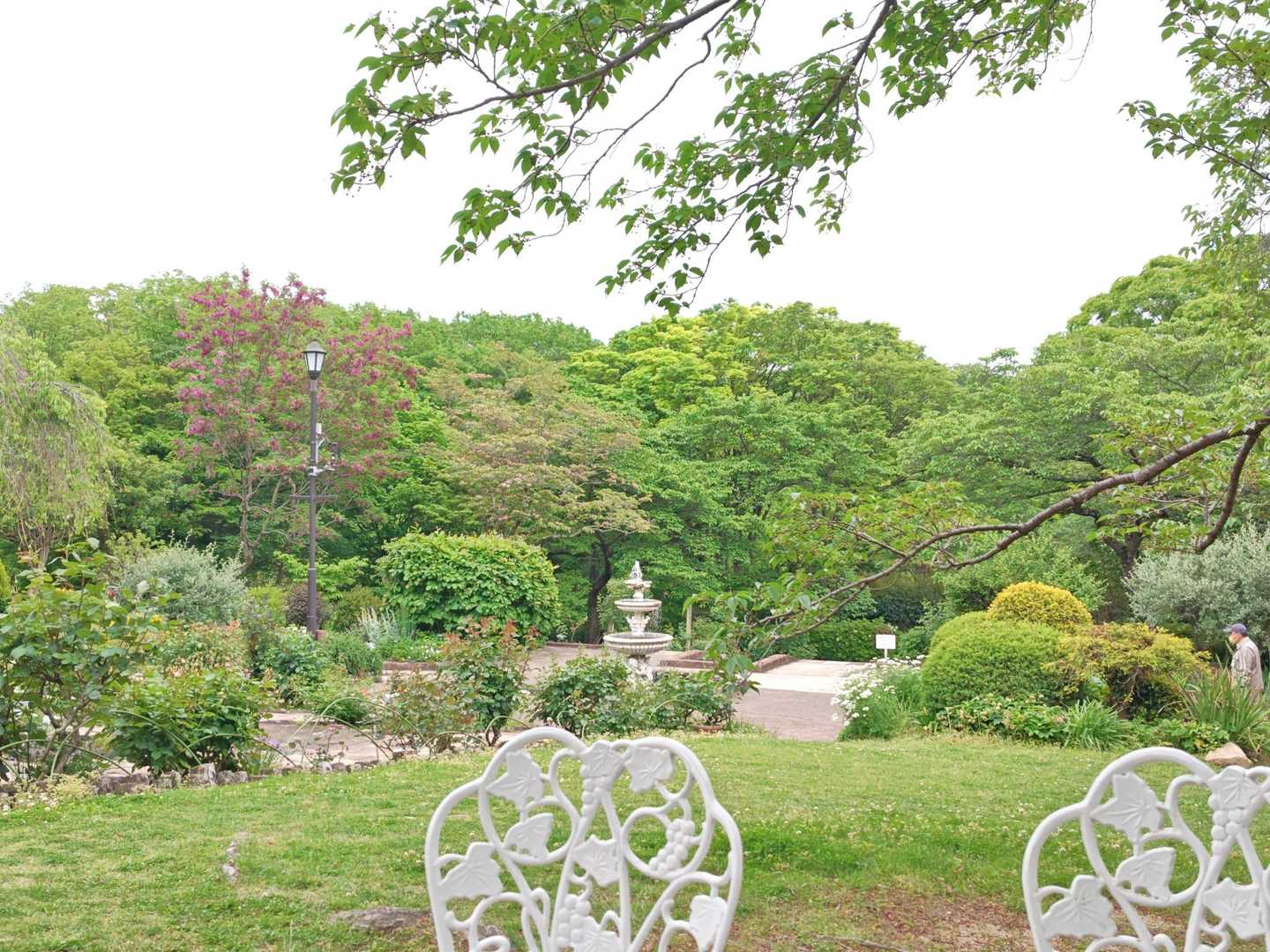 芦屋川駅-前山公園バス停-ごろごろ岳-ガベノ城-北山公園ハ 縦走コースの写真