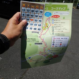 ビンゴカードはコースの「B」の付いている場所に貼ってあるビンゴナンバーを消して行ってビンゴになったら折り返し地点の抽選会場で商品がもらえるそうです

楽しみ