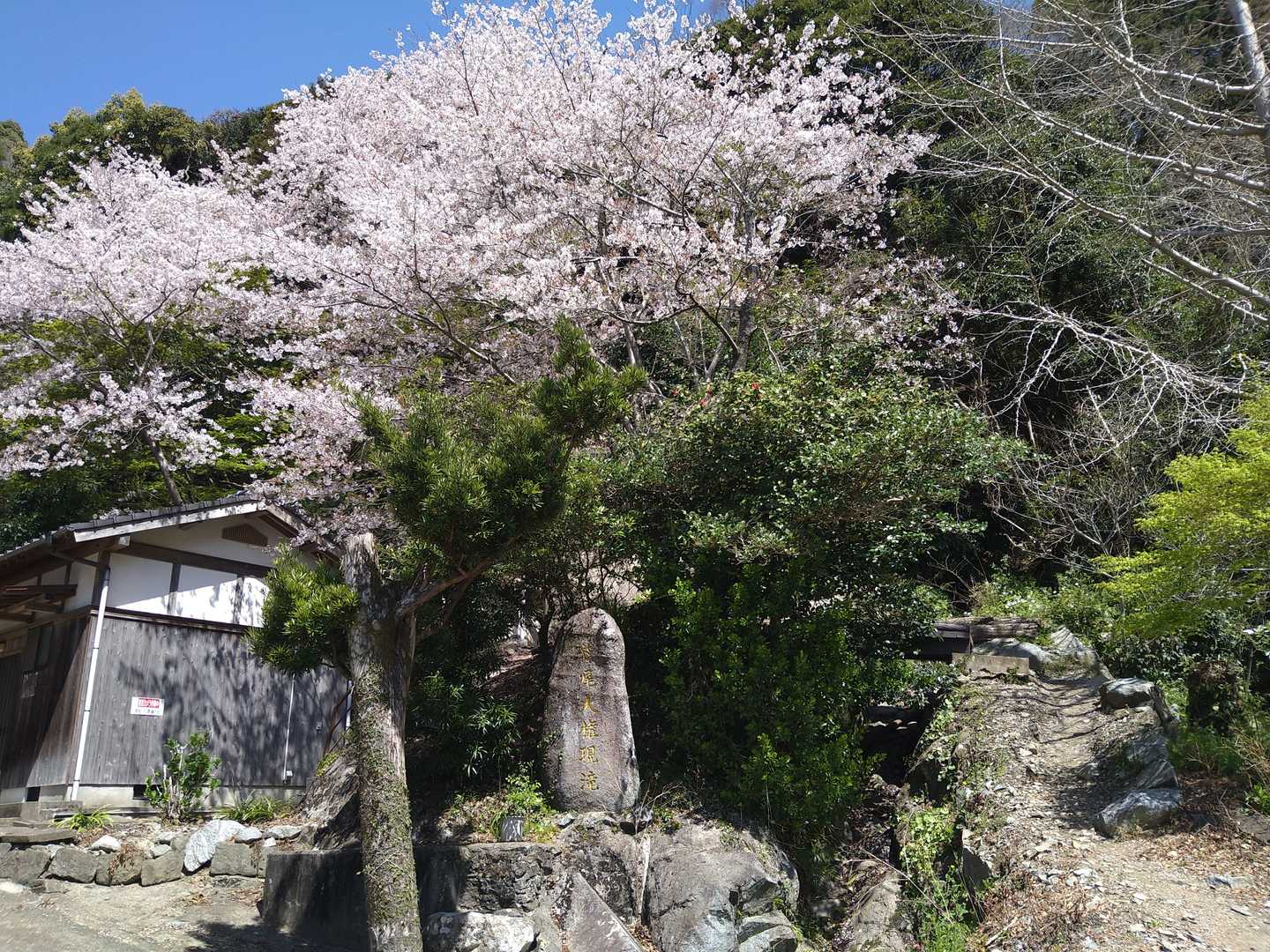 立花山-立花山登山道口・大権現登山道口 周回コースの写真