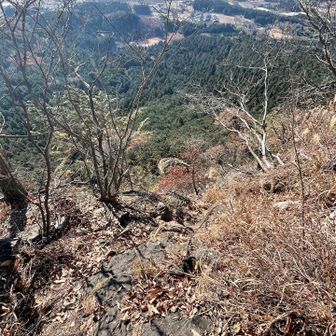 登ってきたロープ場の下は見ません。