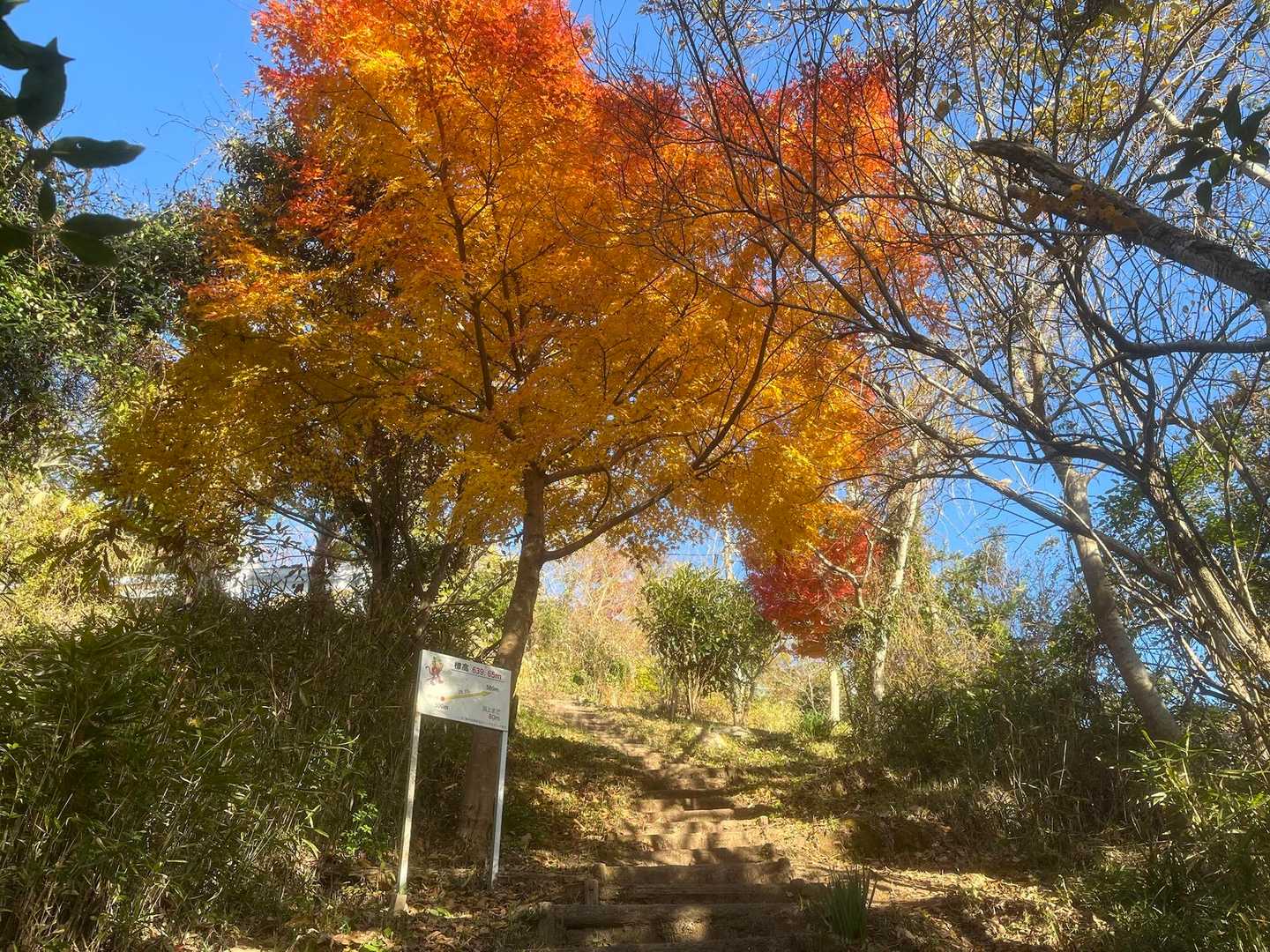 金峰山登山口-金峰山 周回コースの写真