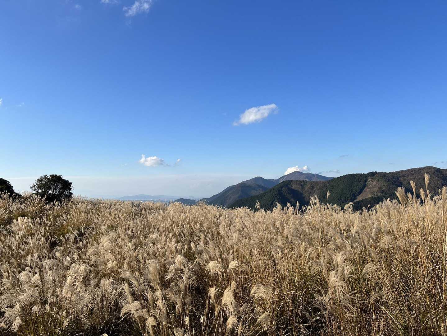 まだまだススキ漕ぎ