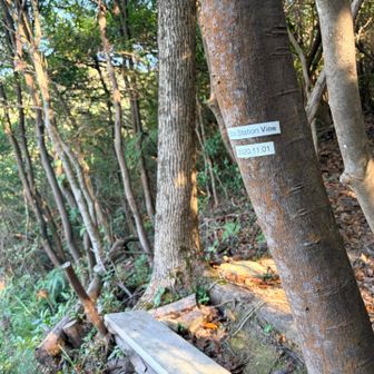 展望台
景色は