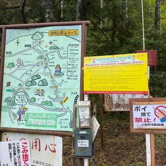 下りが苦手なので、時間がかかるような道だと時間に間に合わないかも、、と心配でしたが、整備された道で良かったです。