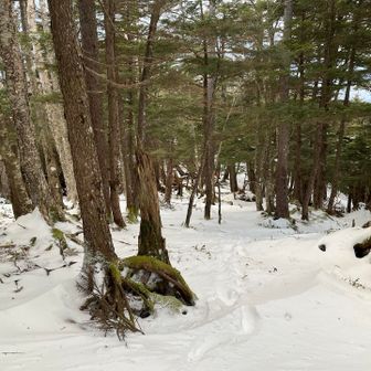 結構 雪有るなあ
