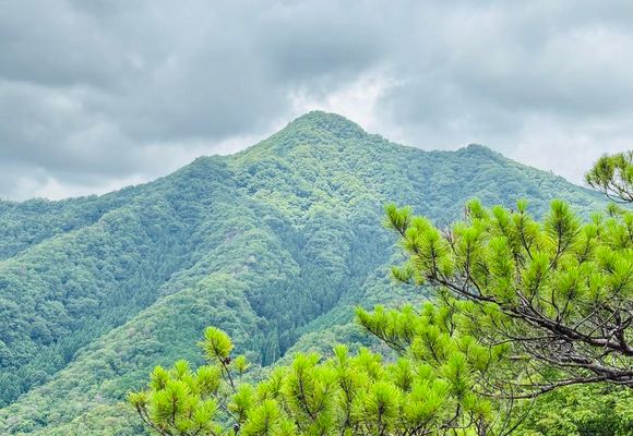 三角点山（兵庫県）（兵庫・343m）| 登山ルート・天気 | YAMAP / ヤマップ