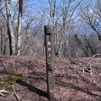 権現山到着。結構，急な坂でした。
