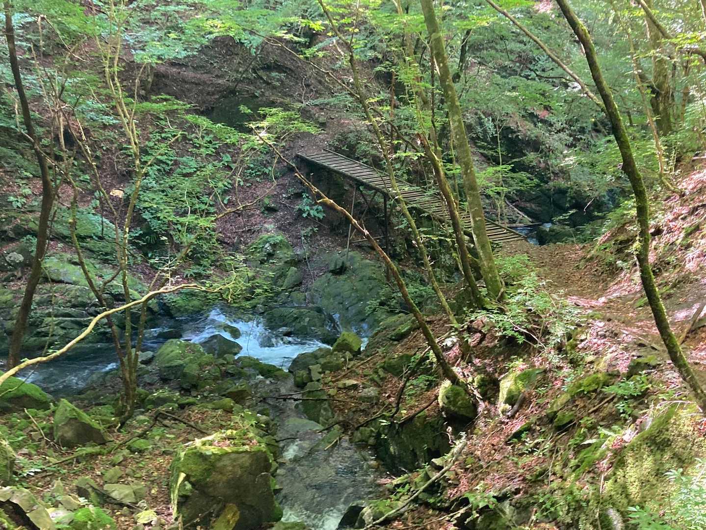 川乗橋バス停-川苔山登山口-川苔山-大根ノ山ノ神-鳩ノ巣駅 縦走コースの写真
