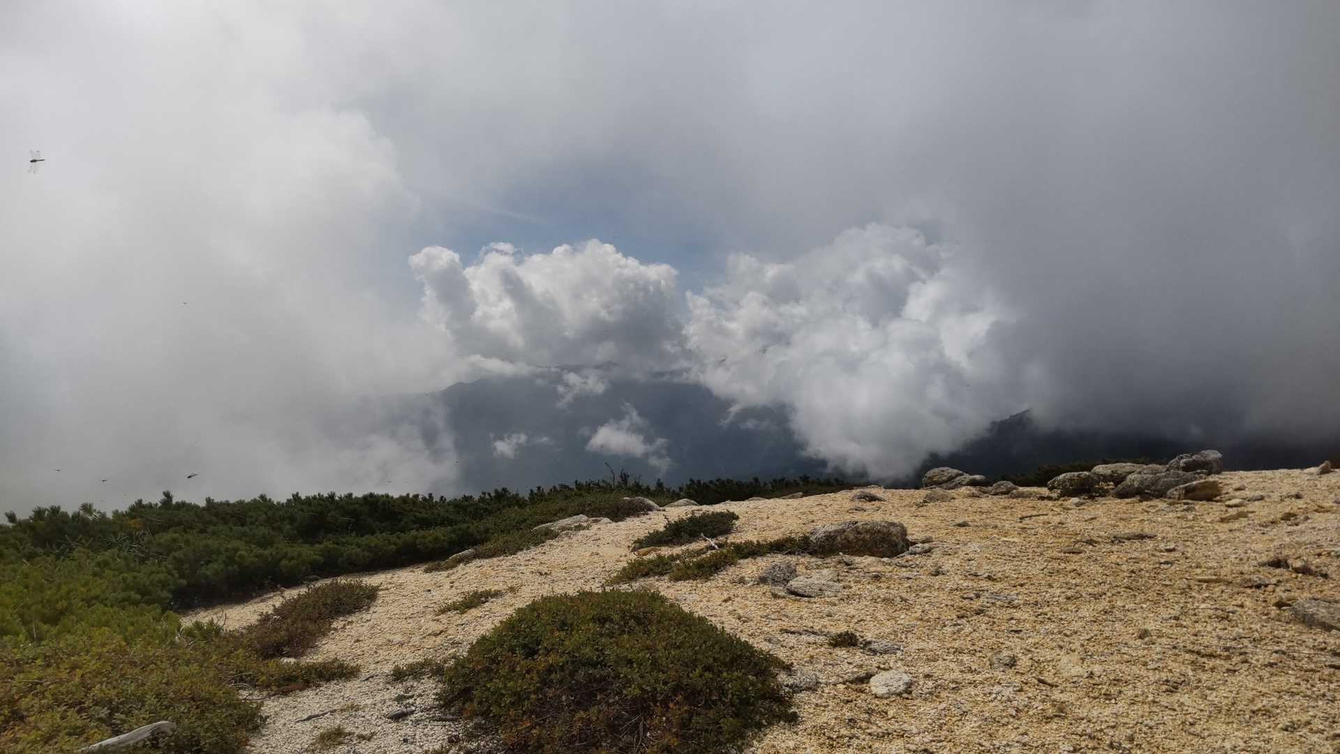 東餓鬼山頂
