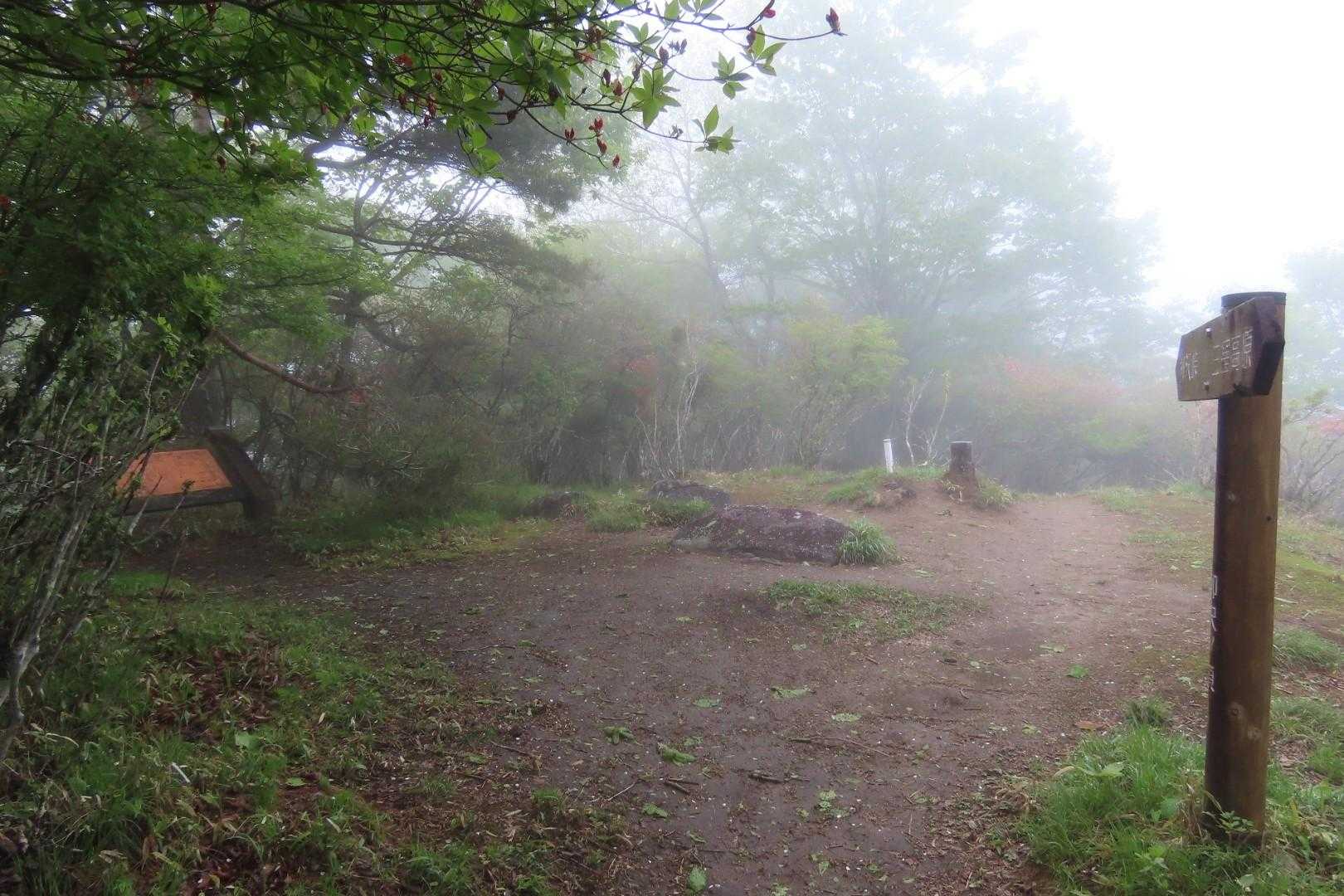 ガースーになってきちゃった💨