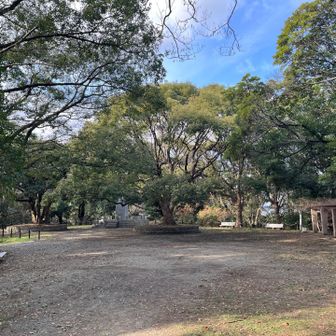南公園の東展望所にとうちゃこ。子供のころ遠足で来たことがある。当時は景色が良かったのに、木々が高く伸びて全く見えず😵

ここが大休山（おおやすみやま）のピーク⛰️今年は正月9連休だから大休み😉