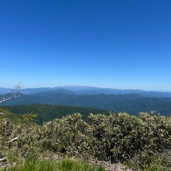 木の陰に隠れてたけど奥には白山。