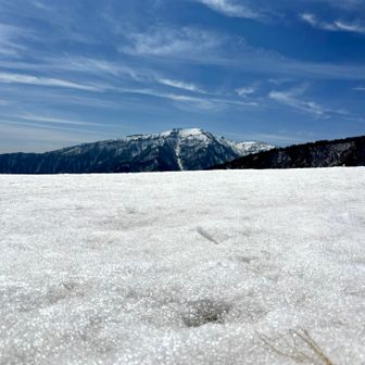 キラキラの雪原の向こうに氷ノ山🏔️