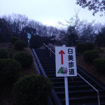 足りないものは一緒に探そう
希望を胸に　扉　開いていこう