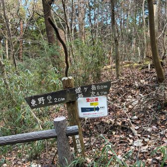 林道をゆるゆる歩いてゲートに到着
蛭ヶ岳まではまだ8kmもあります