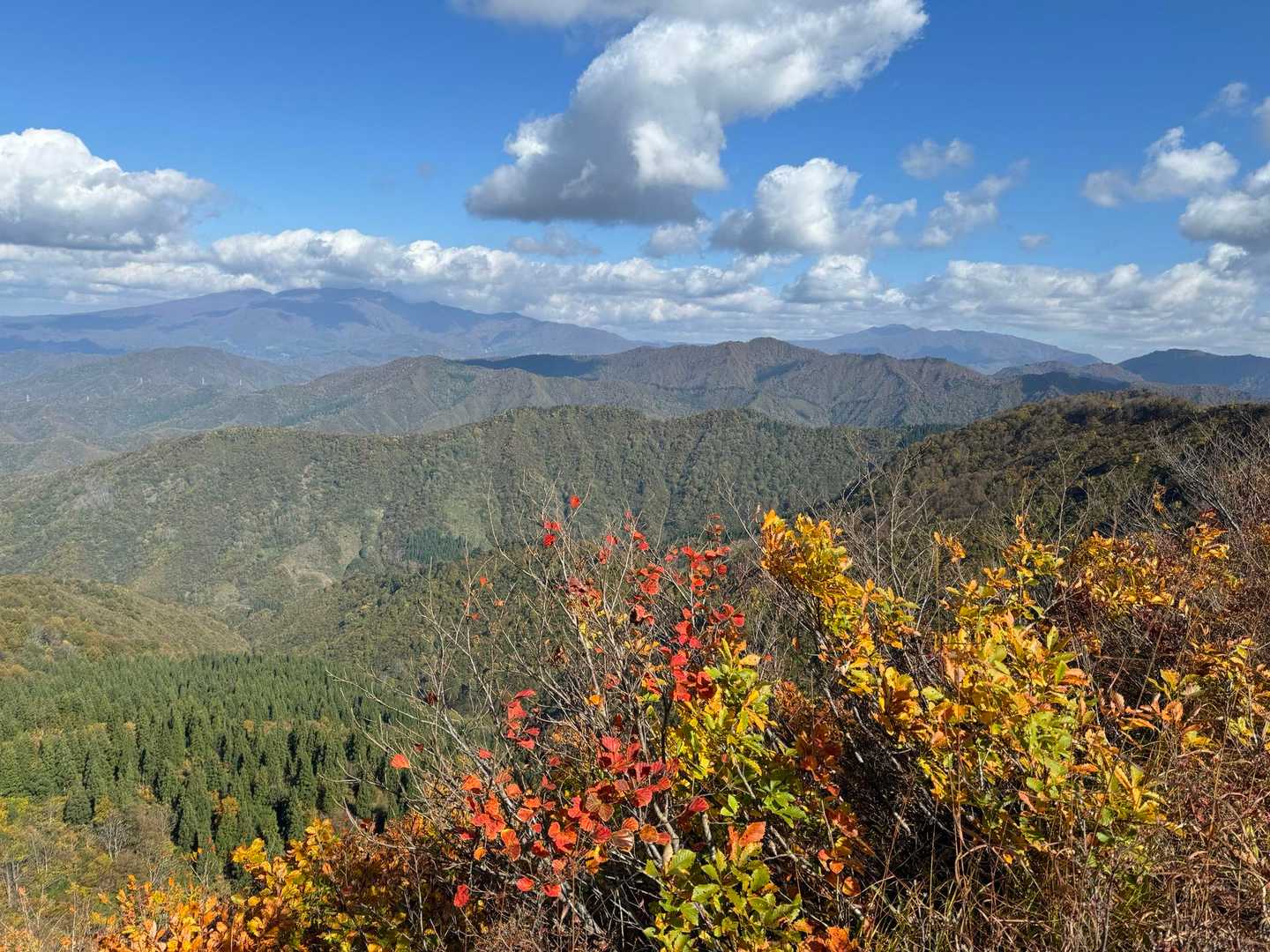 良い天気☀️でした〜
お疲れ山🏔️