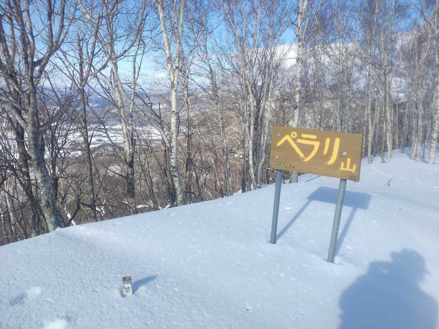 山頂標識、アタマだけ基準点白標柱。登りましたね、片ズボで\( *´ω`* )/
叫びましたねぇ。