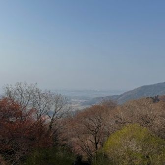 峠の駐車場から。
ロータスエリーゼとかロードスターとか、中小型のオープンカーが集まってました。
(おじさま系の集まりかな)