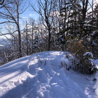 頂上、笹が立ってますね、今度は奥の展望凸まで行きますか。