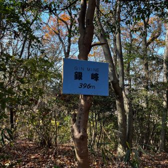 ひたすら下り銀峰〜！この道、上った事はあったけど、下りは初めてで、落ち葉で滑らないかドキドキした💦