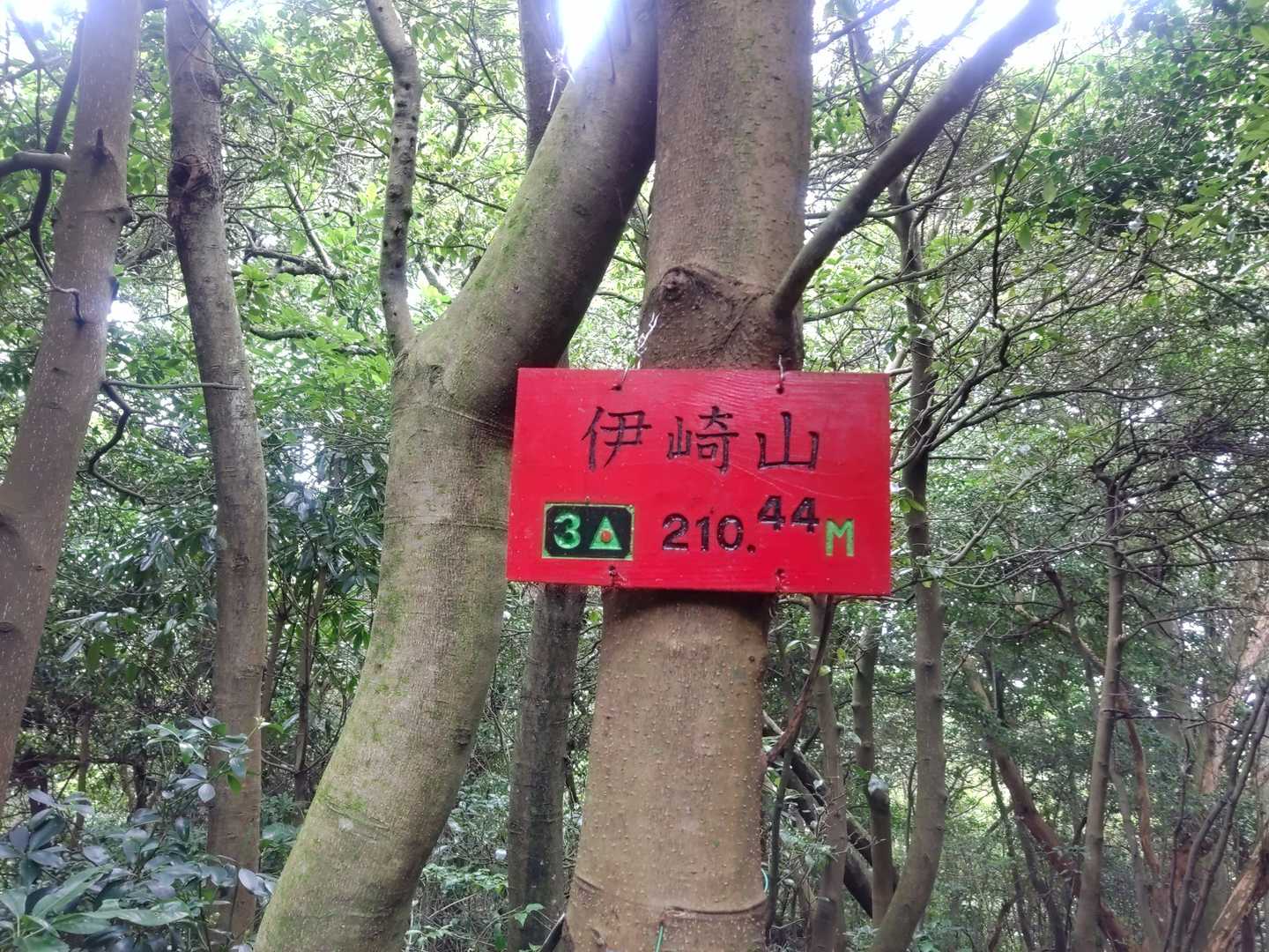 ❮㊗️300座❯
雨に降られた六甲山