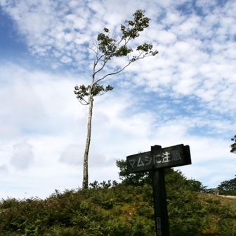 マムシ注意の立て札と夏の空！