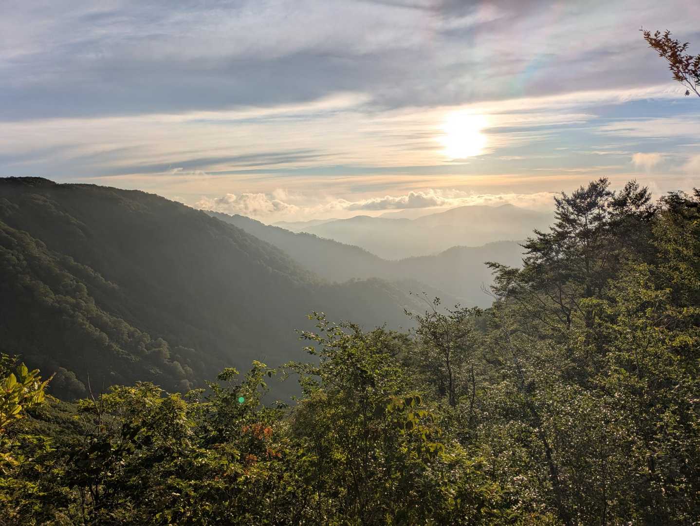 御沢登山口-横峰 縦走コースの写真