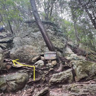 表登山道は岩が多い道🪨
ココではもちろん楽な方を選択⬅️🤪