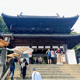 立派！