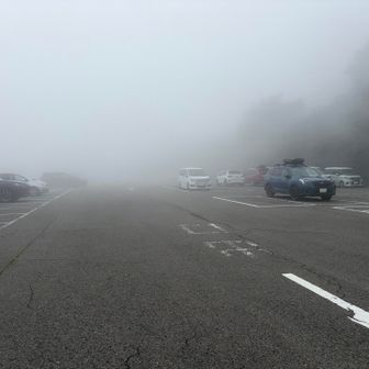 下山です
すっかり車減ってガスガス☁️
