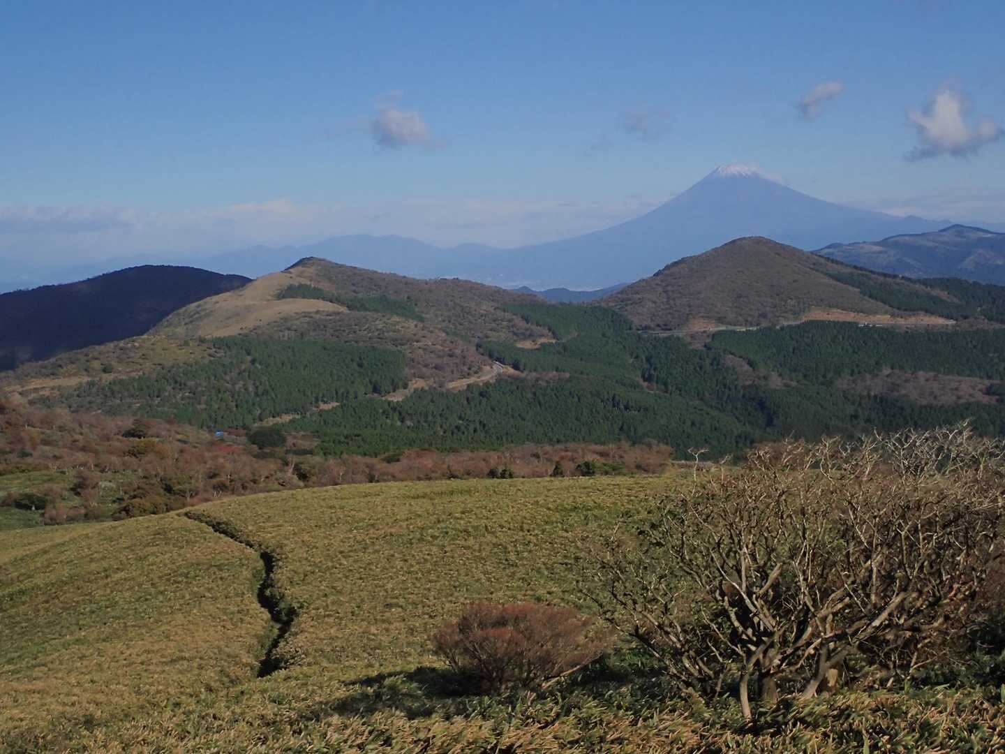 ご覧のとおり🗻