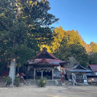 秋葉寺
所々、痛んでいますが、神木が神々しいです