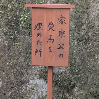 午年なので…🙏