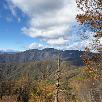 こちらは秩父山塊の和名倉山かな❓