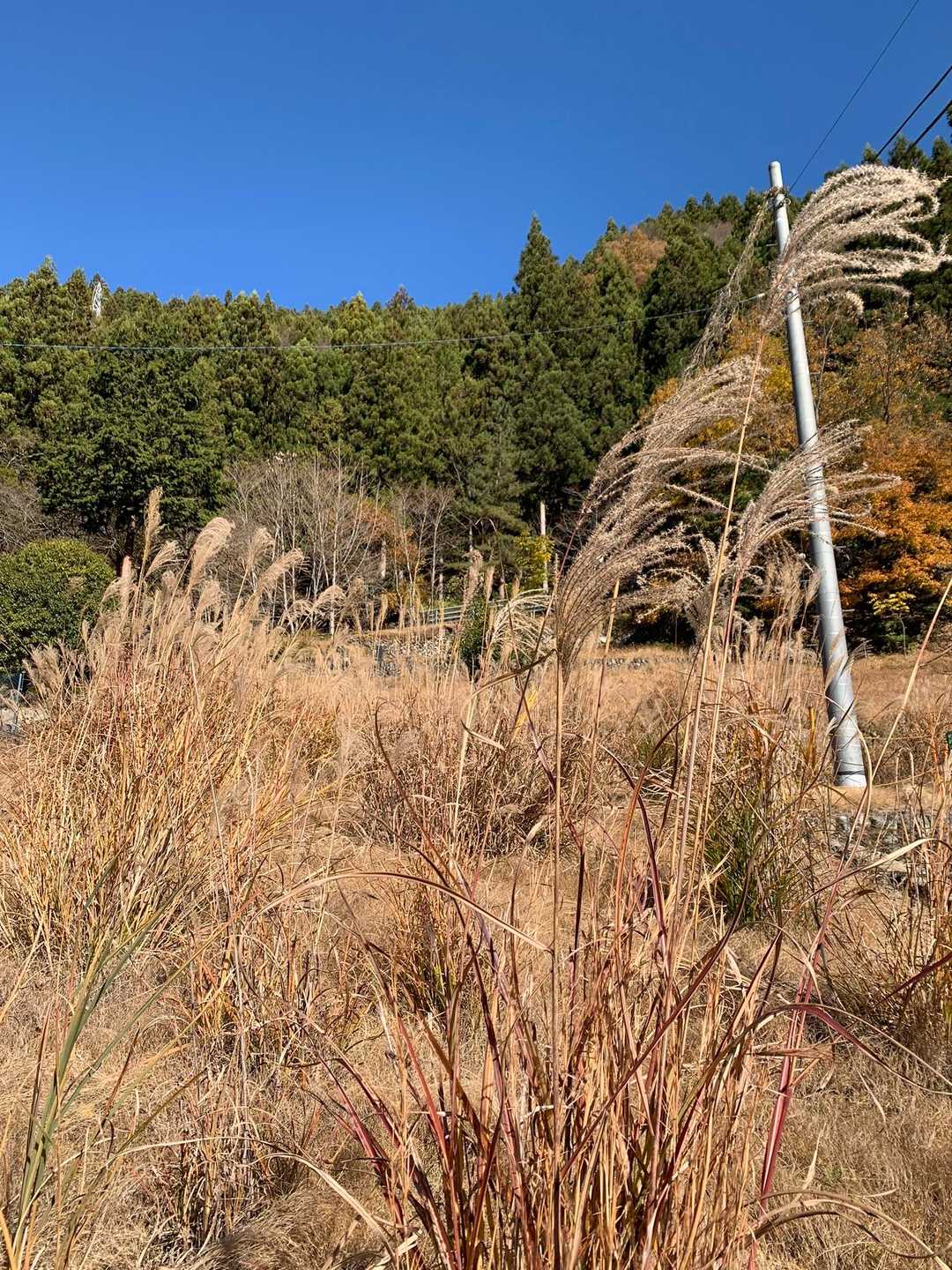 普寛神社に寄ることを忘れてしまい、最後はちょっと端折って