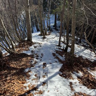登って来た雪道