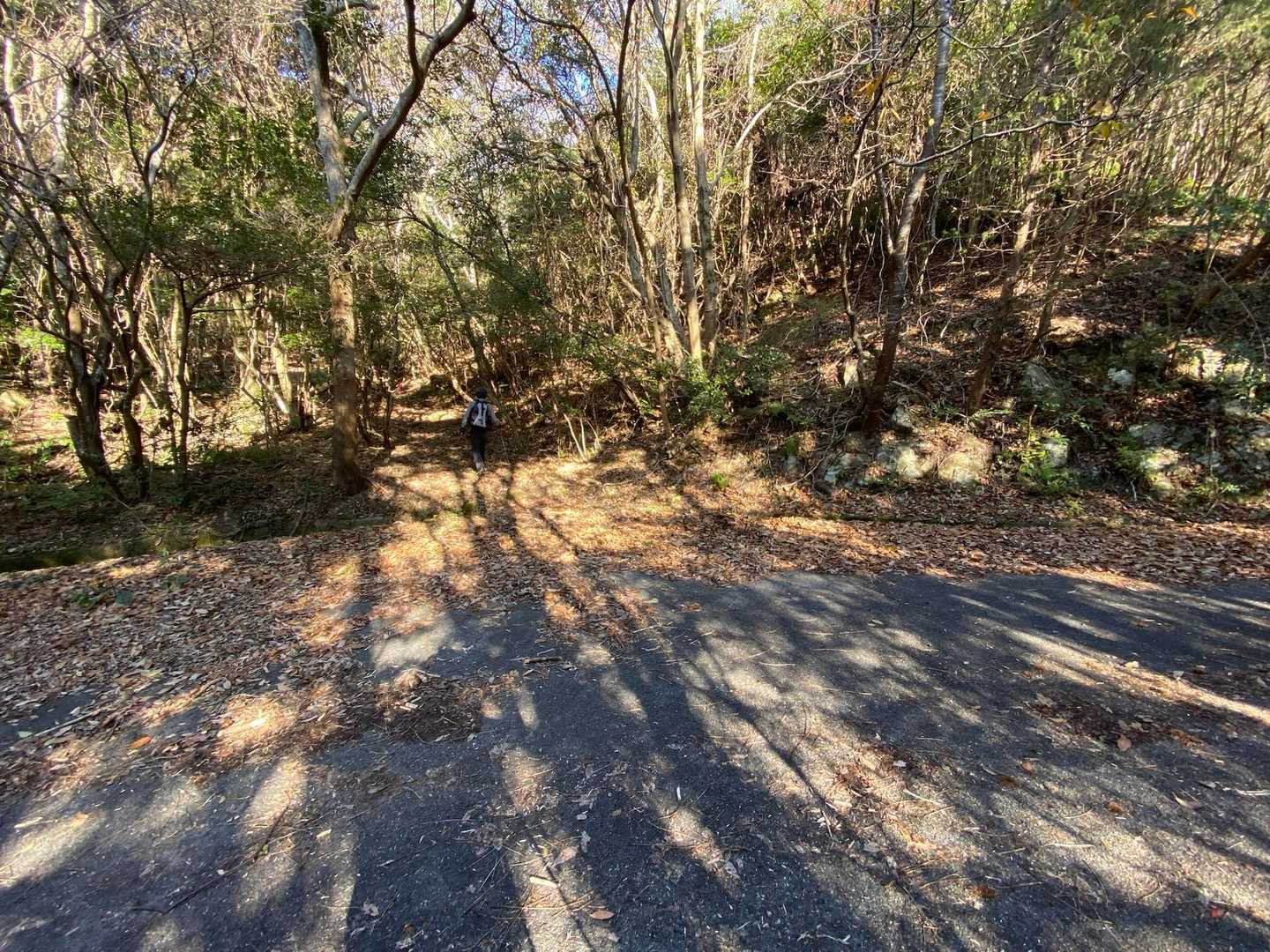 しばらく舗装された車道を歩き、途中のここから山道に入ります。