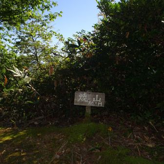焼山