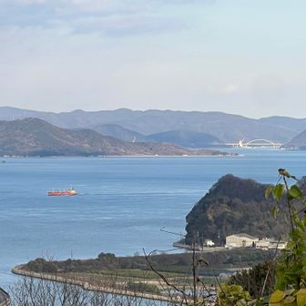 内海大橋が見えたね。

因島アルプス10座は、
急な登りや下りで、思っていたよりしんどい😓
というか、忘れてたんだよね。（笑）
そして、この時期は、落ち葉が🍂モリモリで、滑る滑る😆

でも、やっぱり10座歩いた達成感が味わえるし、時々見れる美しい島々と海の景色が最高だね。地元の方々に愛されてるのもすごく感じました💓