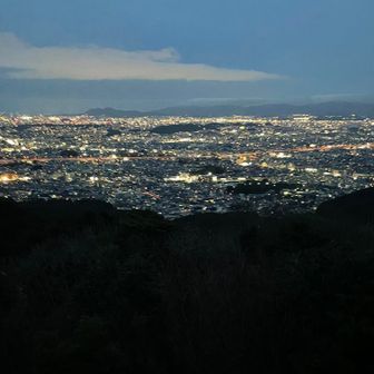 りゅうこちゃん