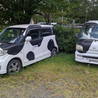 さすが牧場