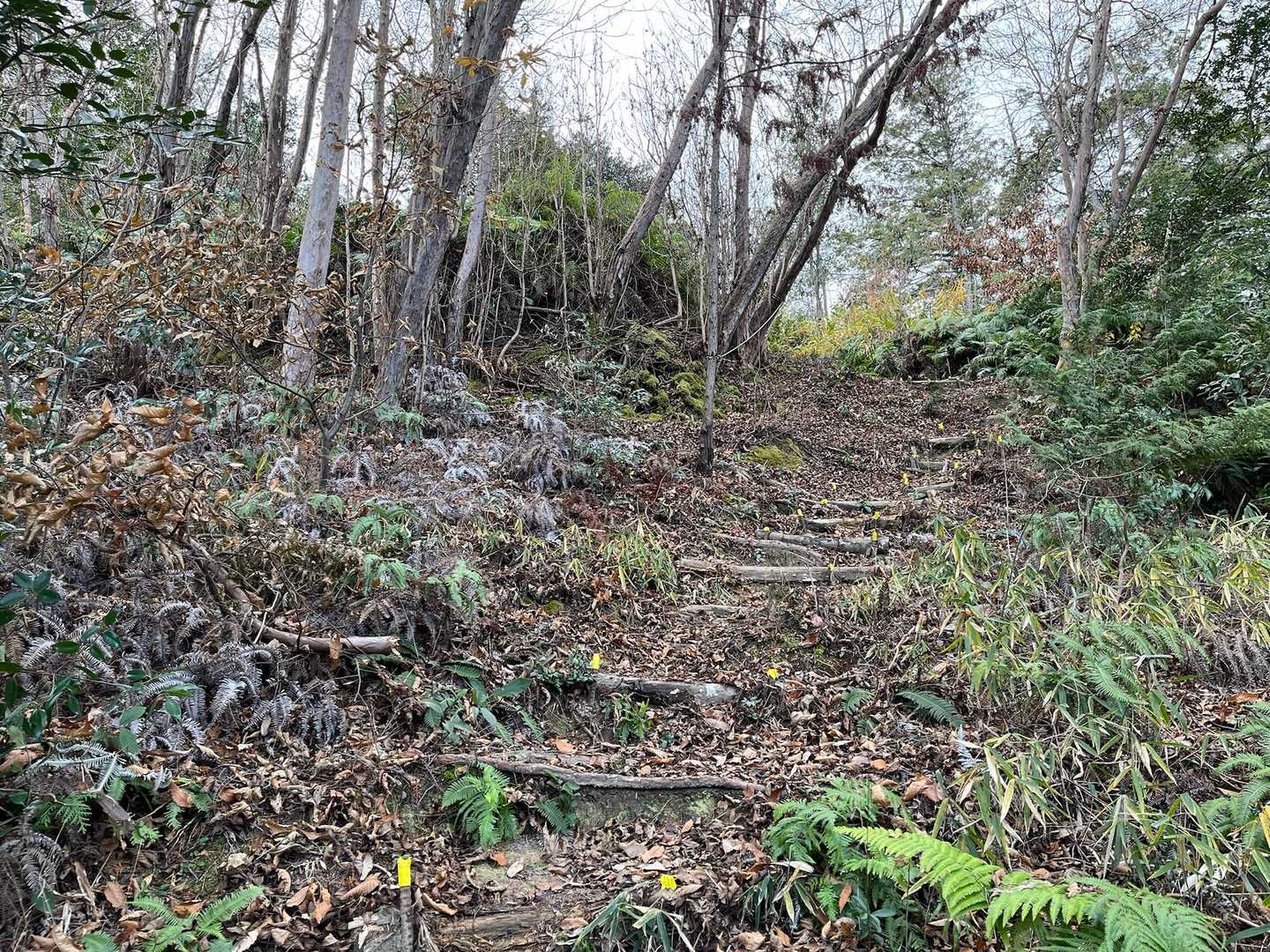 こちらもゆるーく登ります