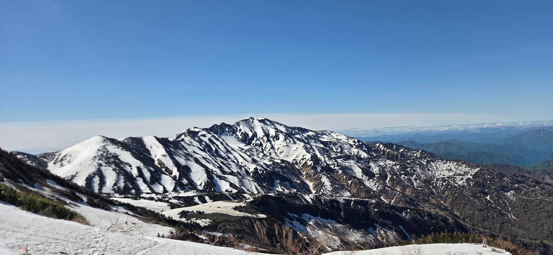 振り返って、ゼブラ別山✨